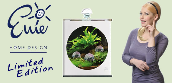 Enies Design Cube Nano Aquarium