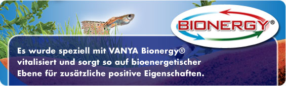 VANYA BIONERGY Technologie