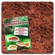 Aquaristik-Paradies Profi Rote M�ckenlarven 250 ml