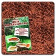 Aquaristik-Paradies Profi Rote M�ckenlarven 500 ml