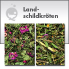 Landschildkr�ten