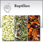 Reptilienfutter