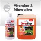 Vitamine & Mineralien