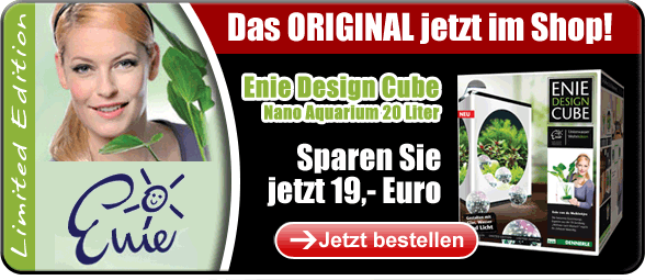 Enie Design Cube - Jetzt das Original im Shop!