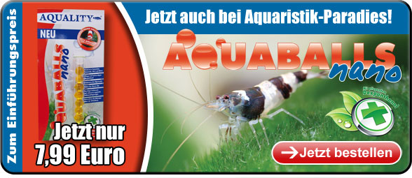 AQUALITY AQUABALLS nano - Jetzt im Shop erh&auml;ltlich!