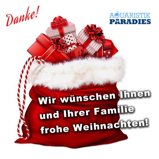 Frohe Weihnachten!