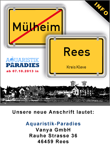 Info Umzug